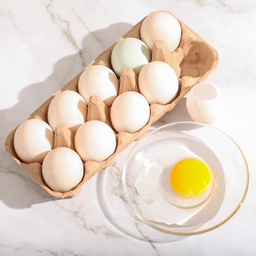 Organic Duck Eggs, 10 Pack - Tan Khun Farm